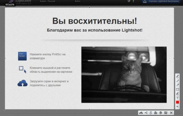 Qanday qilib IPweb servisida pul ishlash haqida - 21