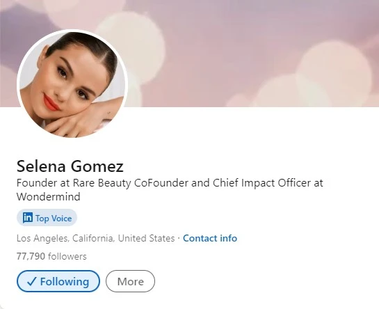 Как зарабатывать в LinkedIn - 2