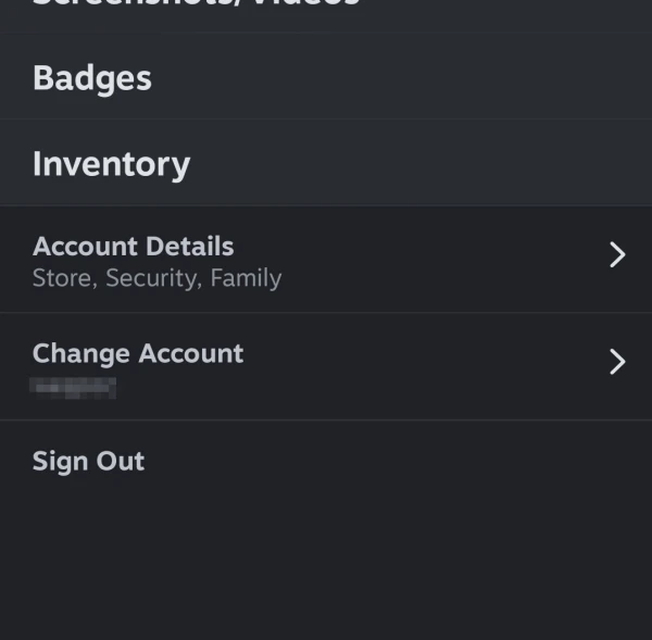 Как привязать аккаунт Steam для вывода средств - 2