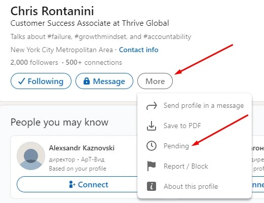 Как зарабатывать в LinkedIn - 7