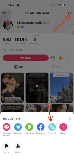 Продвижение в Likee: как включить и настроить репосты, моменты и ссылки - 3