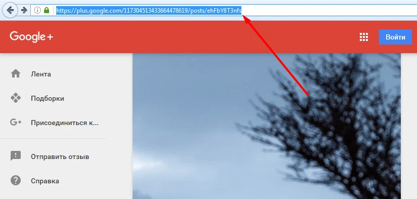 Поделиться - 1