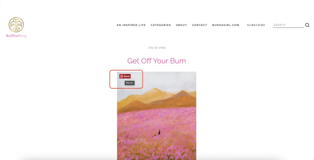 Pinterest: накрутка репостов (сохранить пин) - 1