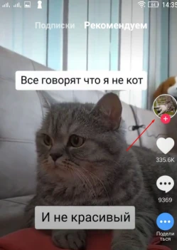 Как зарабатывать в TikTok - 1