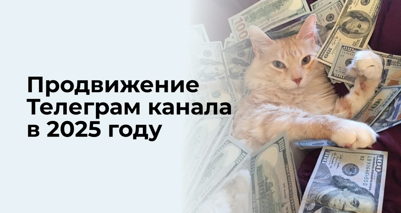 Как набрать 10 000 подписчиков в Telegram без бюджета: гайд от практика