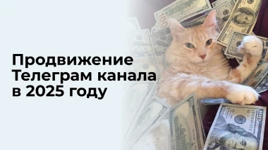 Как набрать 10 000 подписчиков в Telegram без бюджета: гайд от практика