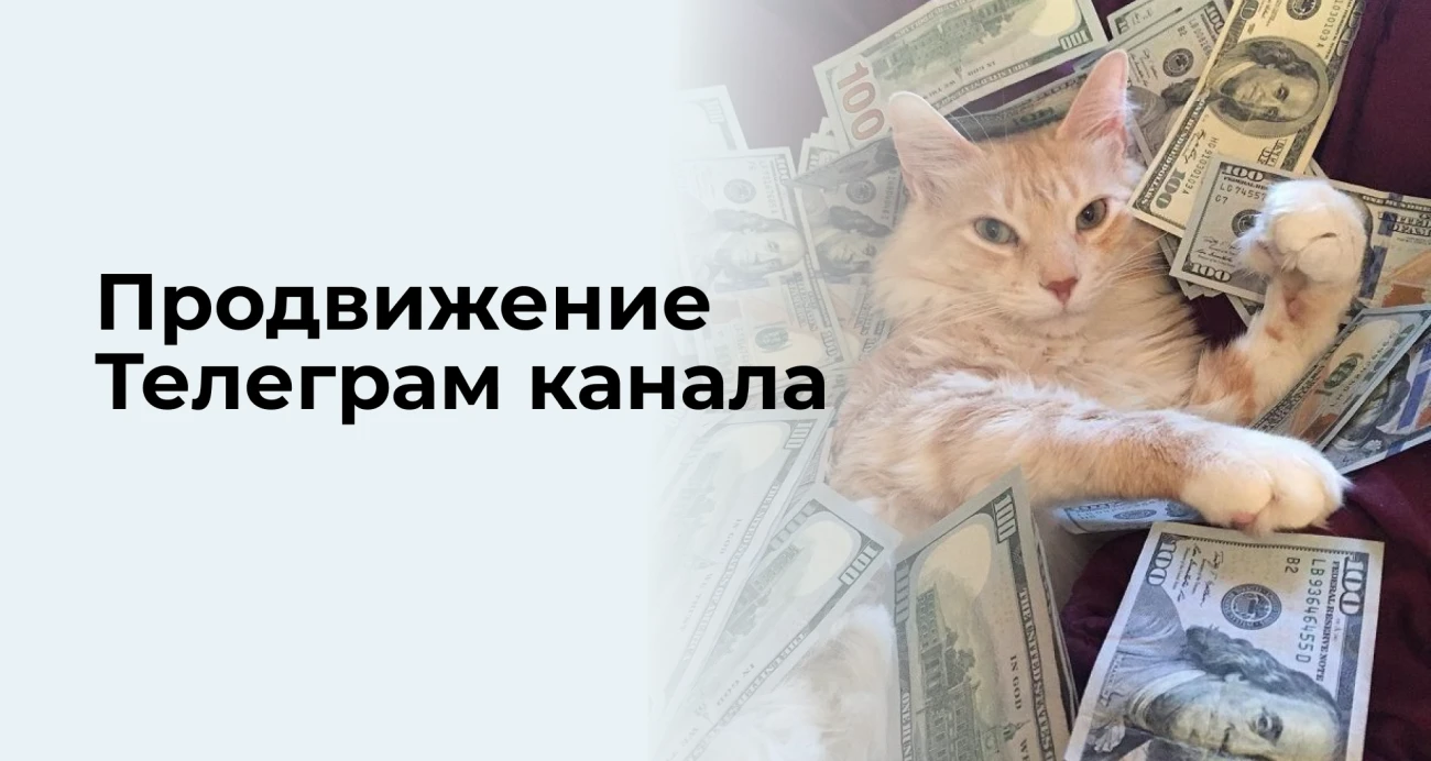 Как набрать 10 000 подписчиков в Telegram без бюджета: гайд от практика