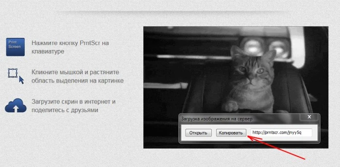 Qanday qilib IPweb servisida pul ishlash haqida - 23