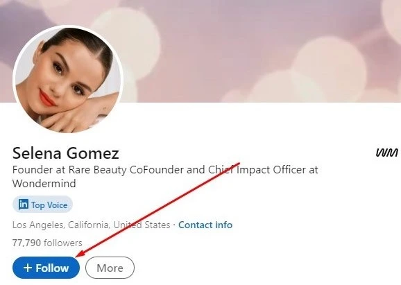 Как зарабатывать в LinkedIn - 1