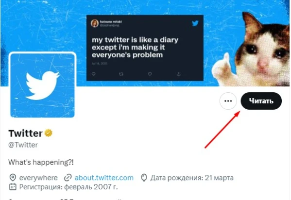 Как зарабатывать в Twitter - 1