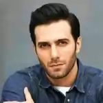 demirnelson